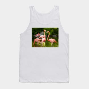 Flamingo Love Tank Top